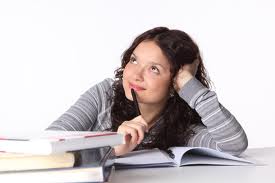 write a term paper that discusses the operation of a price discrimination firm